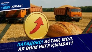 Рекордтық астық – рекордтық шығын. Шетел ұтады, өзіміз ұтыламыз ба?