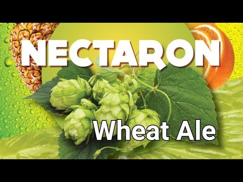 Nectaron Wheat Ale | First tasting off tap | Summer smasher | Tap upgrade |