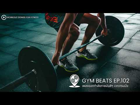 เพลงออกกำลังกาย 30 นาที | Gym Beats - Ep.102