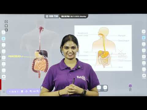 TutAR - AI AR 3D Whiteboard