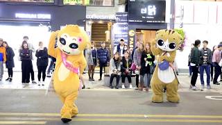 JHK TV] 신촌 거리명물고양이 shin chon special cats dance  ...(South Korea)