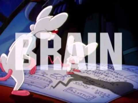 Pinky i Mózg - Czołówka PL