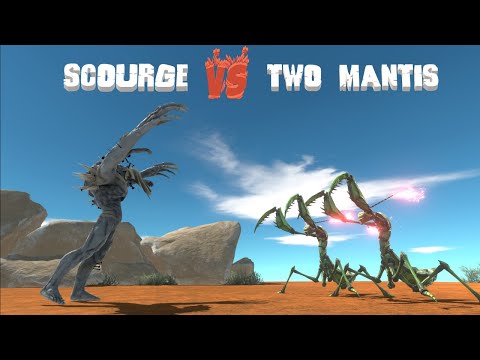 Two-On-One Fight - 2 MANTIS VS SCOURGE - Animal Revolt Battle Simulator ARBS