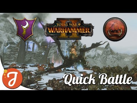 Which Elves? Witch Elves | Mortal Empires | Total War: Warhammer II