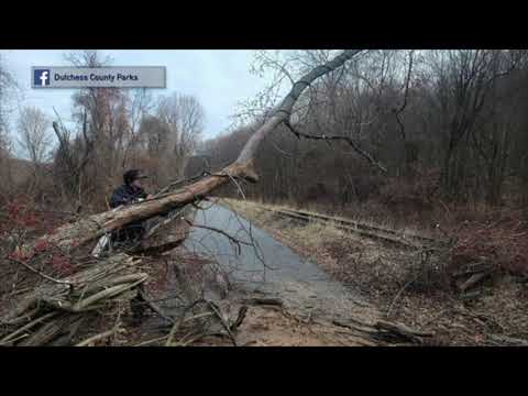 Dutchess County Winter Programs