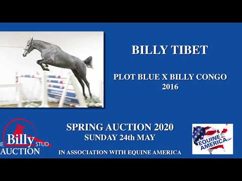 Billy Tibet