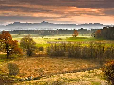 Ezequiel 21 / Leia a Bíblia em 1 Ano - 331º Dia - 01/03