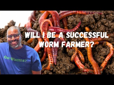 Every Thing To Know Uncle Jim's Worm Farm - FIRST BATCH Of Red Wiggler Mixed Worms