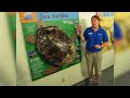 Florida Aquarium Behind The Scenes Tour