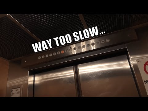 Creepy and Slow Haughton Traction Passenger Elevators in Chicago, IL