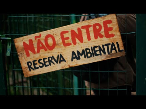 Trailer de BOSQUE (2024)