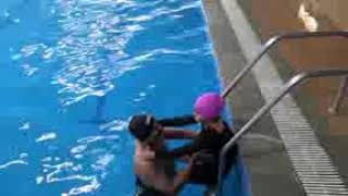 preview picture of video 'Koyna's Swimming Journey - Video 5'