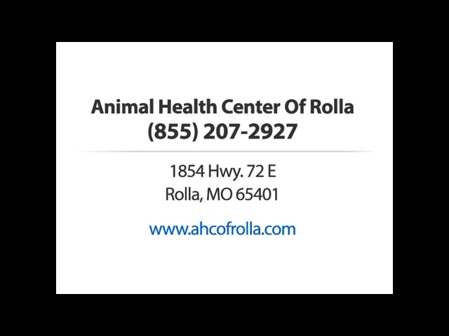 Animal Health Center Of Rolla - Rolla, MO