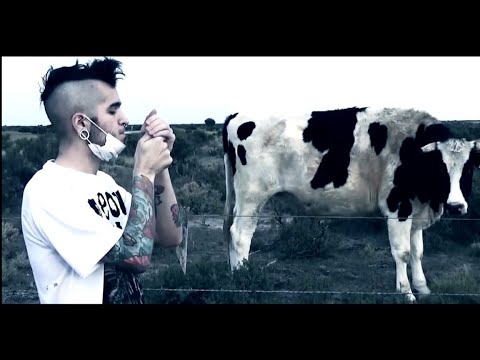 LIL FACO 💋 P.A.N.O.R.A.M.A 💋 ✞ 올드보이 ✞ VIDEO✔✔ (Prod. by Jayyeah)