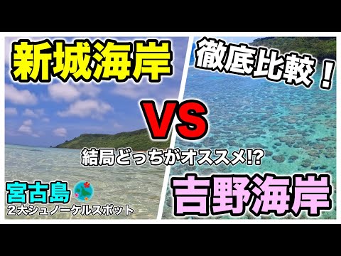[Costa Shinshiro vs Costa Yoshino] Uma comparação completa dos dois principais pontos de mergulho com snorkel em Miyakojima!