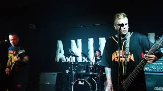 Los que marcan el camino - ANIMAL - Vivo Málaga 23.06.2018