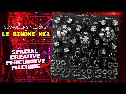 All My Modules: Sovage Engineering Le Binôme Mk2