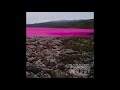 Vladislav Delay - Raajat