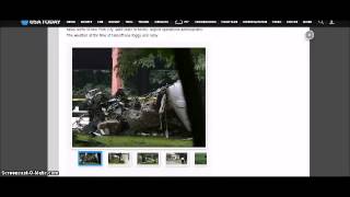 Rockefeller son dies after his plane crashes