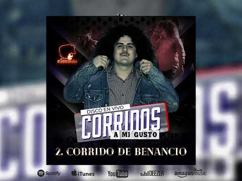 CORRIDO DE BENANCIO - EL RABBANITO / CORRIDOS A MI GUSTO ( en vivo )