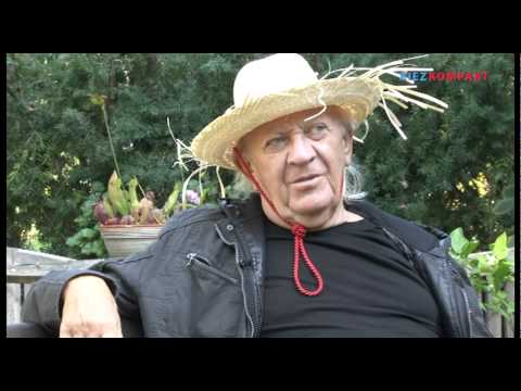 DIE PUHDYS - INTERVIEW MIT PETER MEYER (OFFICIAL VERSION)