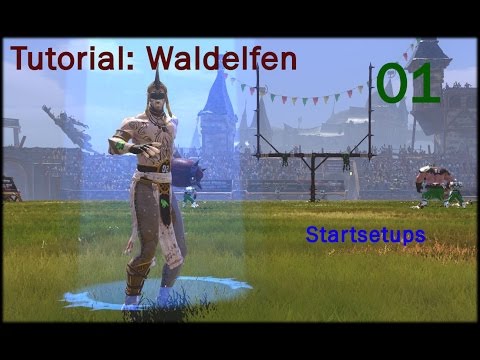 BB2 | Tutorial 01 | Waldelfen Startsetups