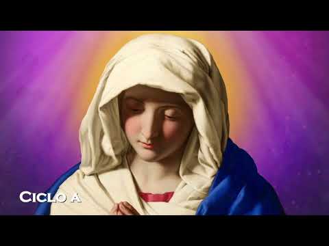 Homilía | Jueves, II semana de Adviento 11.12.2025| Pbro. Javier Martín FM| 