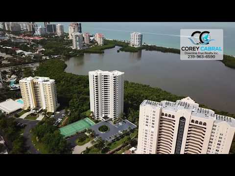 Heron at Pelican Bay in Naples, Florida fly over video