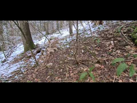 Na pola puta do vrha