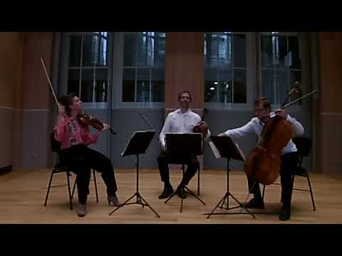 Trio Amsterdam spielt aus Goldbergvariationen (Bach)