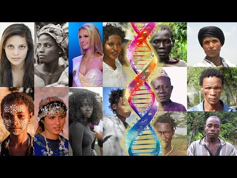 The African Vs African American Genome