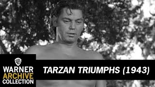 tarzan feeds nazi to lion tarzan triumphs warner archive