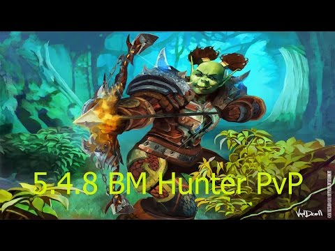 5.4.8 BM Hunter PvP - Self Handicap - Patch 5.4