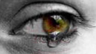 Nunca te vi, sempre te amei