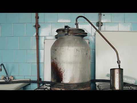 Mad Money - Cukrus & Mielės [Video]