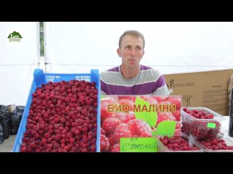 , title : 'Александър Нанов, производител на малини'