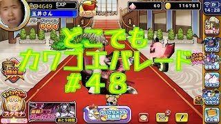 ドラクエ【スピンオフ　どこでもカワゴエパレード＃４８玉井さんガチャ】毘沙門天の巻