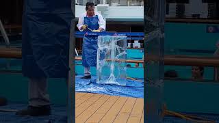 Ice carving on board the Carnival Imagination #shorts