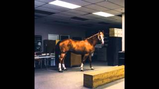 We Are The City - Take Your Picture With Me While You Still Can