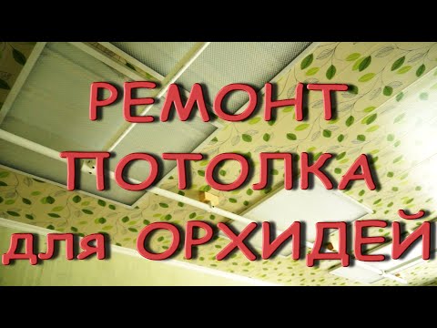 Ремонт ПОТОЛКА для ОРХИДЕЙ,скоро ОНИ будут и ТАМ!