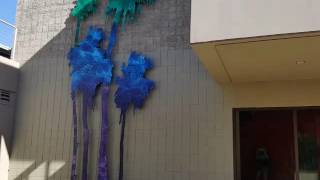 How Feng Shui Balance Improves a Wellness Center