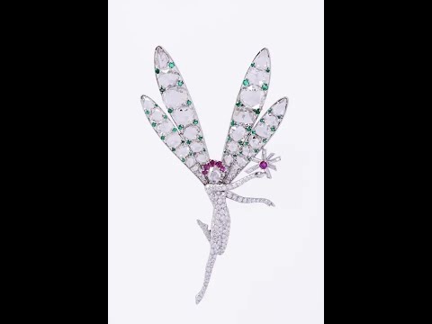 Précieuses fées: du rêve à la réalité