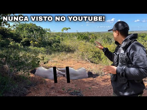 I FOUND THE BODIES OF 2 YOUNG PEOPLE ON THE SIDE OF THE ROAD - SPIRITBOX