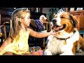 Reincarnating Dog Keeps Finding His Human Loved Ones & Lives On Forever | Movie Recap