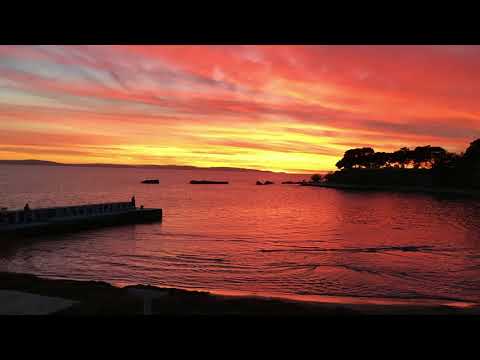 Damir Duplancic i Orkestar Izgubljene Generacije   Falis Mi Jubavi