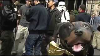 Late Night 'Triumph at the Star Wars Premier!