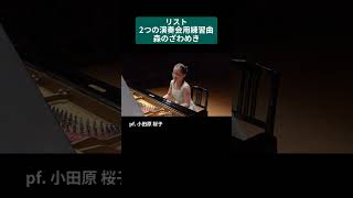 Download lagu リスト:2つの演奏会用練習曲「森のざわめき」 / pf. 小田原 桜子 #Shorts mp3 Download lagu リスト:2つの演奏会用練習曲「森のざわめき」 / pf. 小田原 桜子 #Shorts mp3