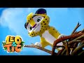 Leo And Tig An Old Friend Episode 10 Funny Family Good Animated Cartoon For Kids