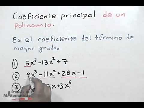 download lagu mp3 mp4 Polinomio Coeficiente Principal, download lagu Polinomio Coeficiente Principal gratis, unduh video klip Polinomio Coeficiente Principal