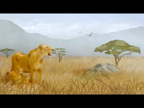 Cool African Music - African Savannah